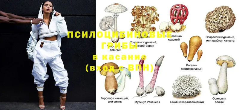 Псилоцибиновые грибы GOLDEN TEACHER  OMG ссылки  Ирбит 